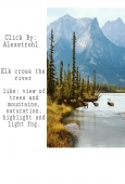 IIP Online Student Photography